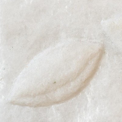 Les noyaux, 2025marble18,5 x 11,5 x 1,5 cm